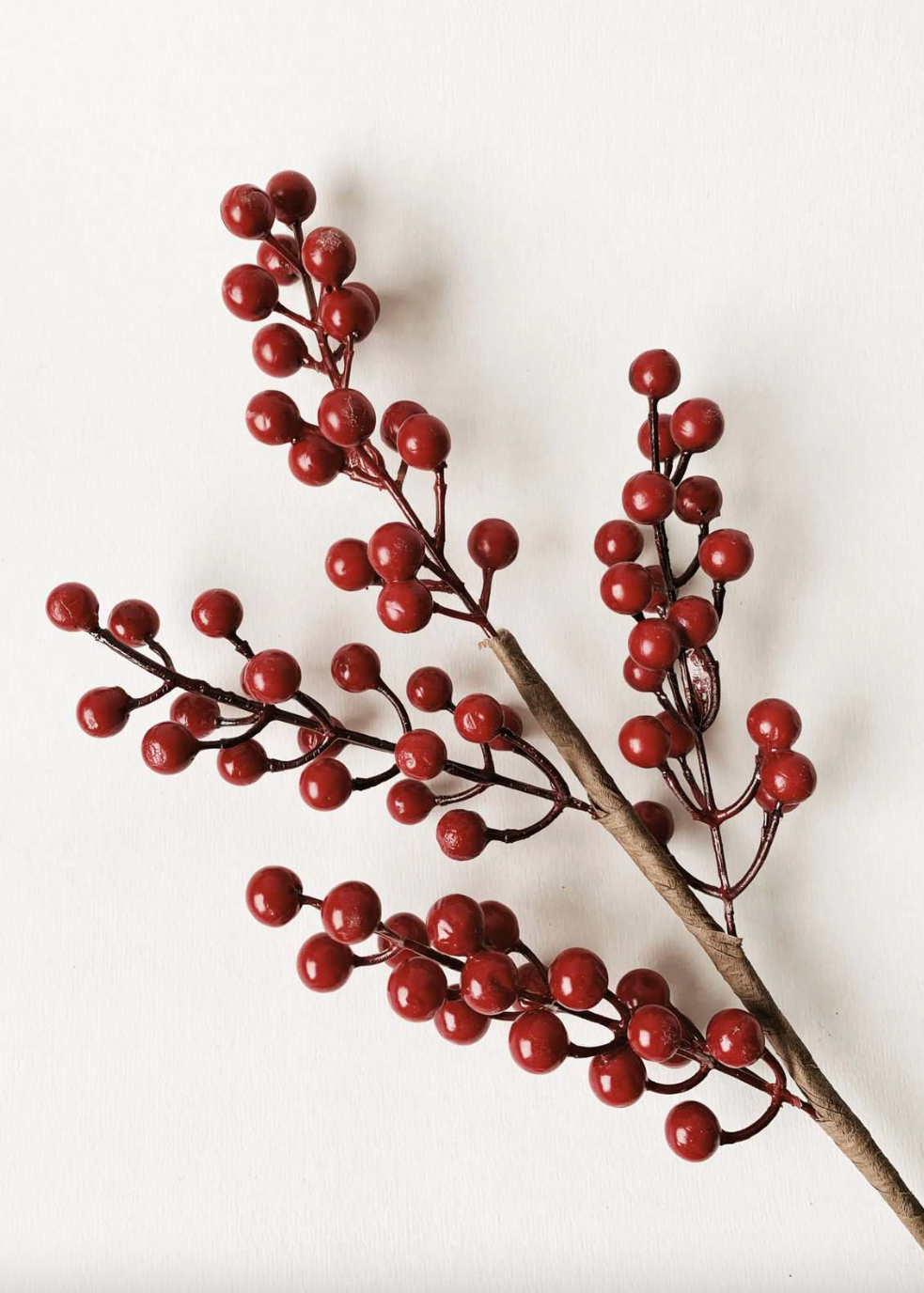 Gren med røde bær