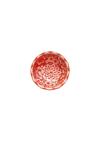 Florensia micro