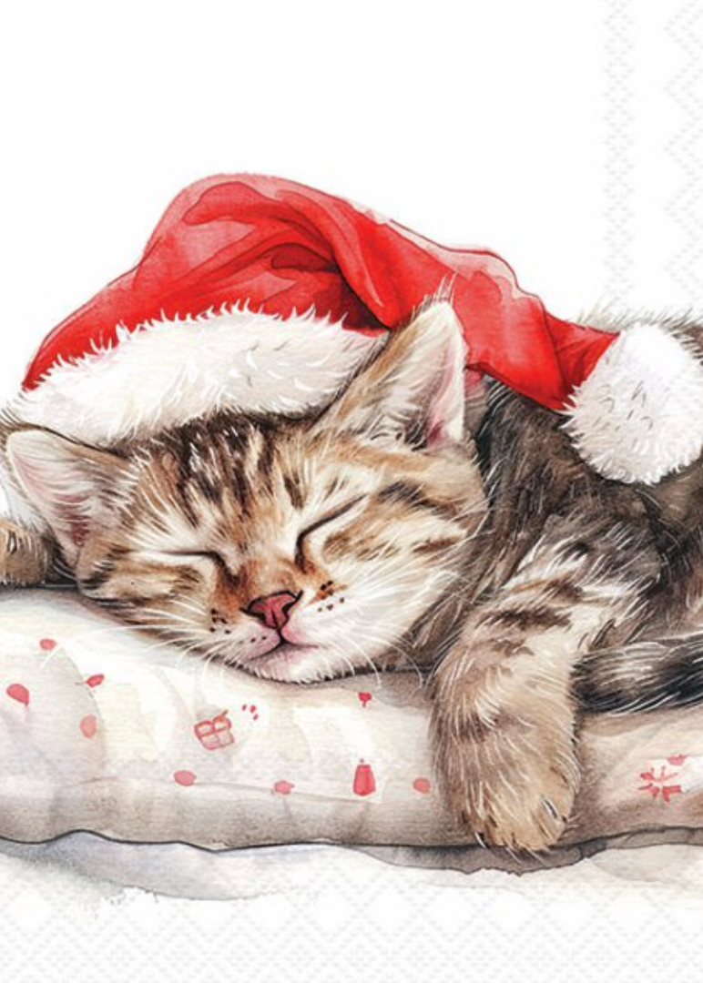 Lunsj servietter motiv